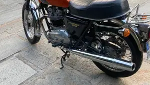 Triumph   (3)
