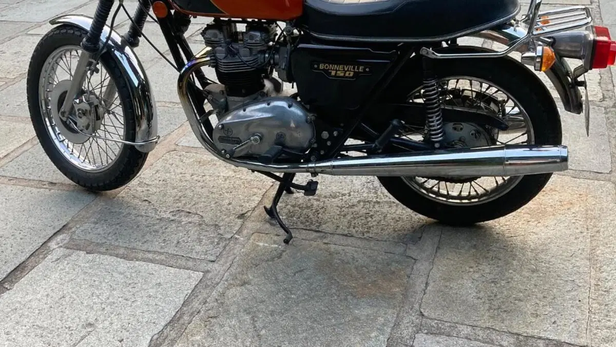 Triumph   (4)
