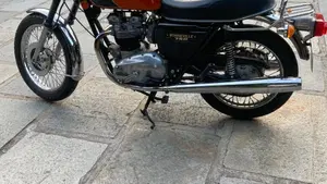 Triumph   (4)