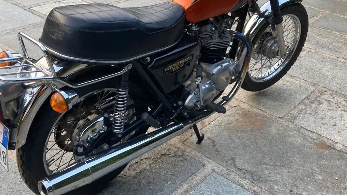 Triumph   (5)