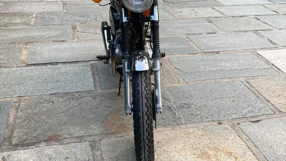 Triumph   (6)