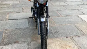 Triumph   (6)