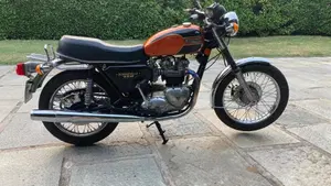 Triumph   (7)