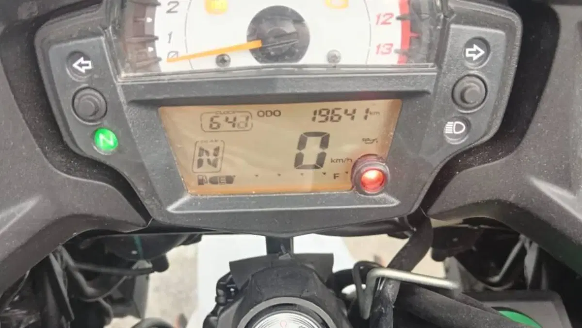 Kawasaki Versys 650 (2021 - 24)  (6)