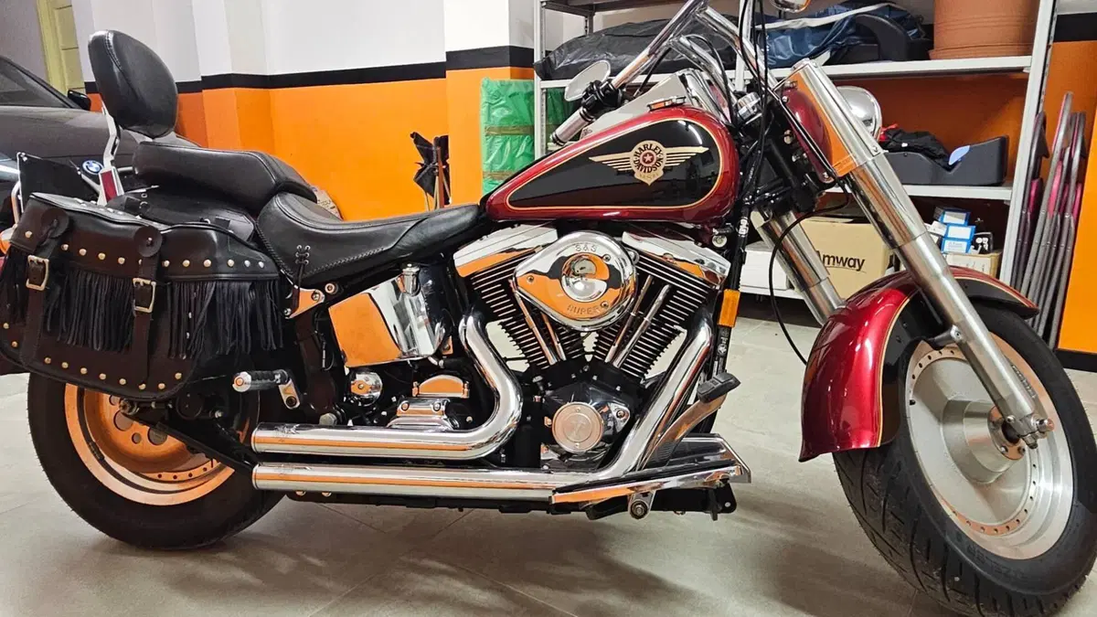 Harley-Davidson   (2)