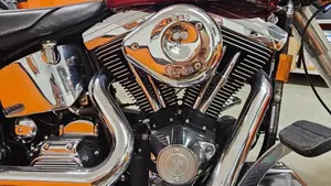 Harley-Davidson   (3)