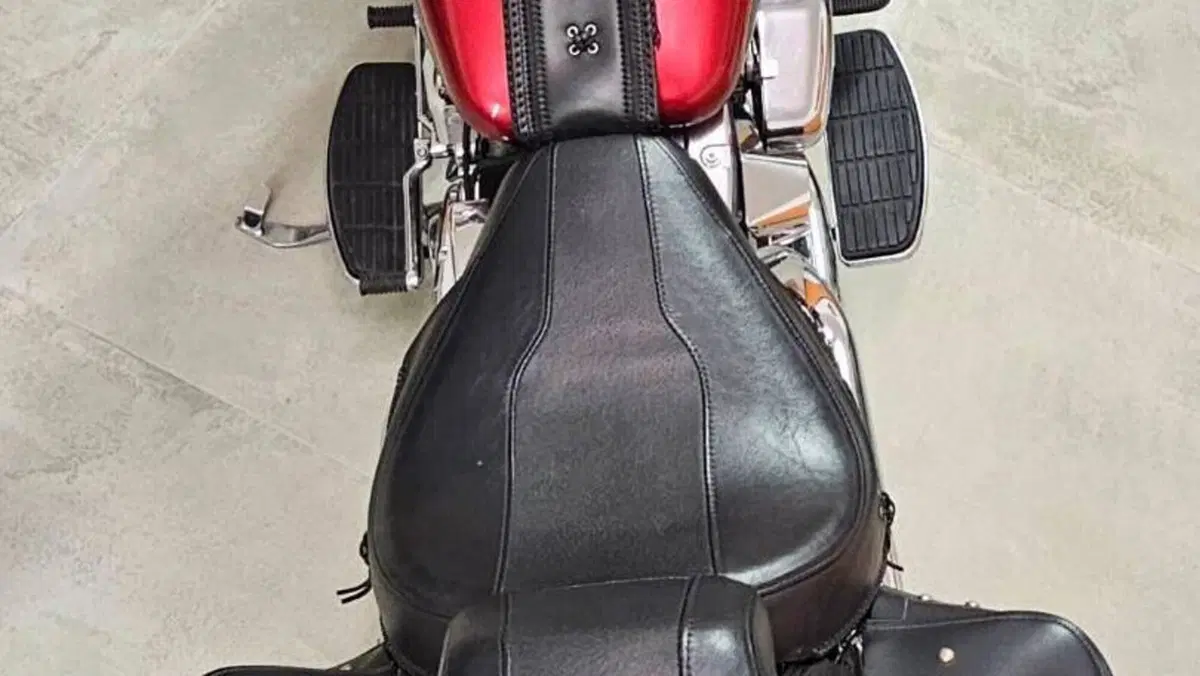 Harley-Davidson   (6)