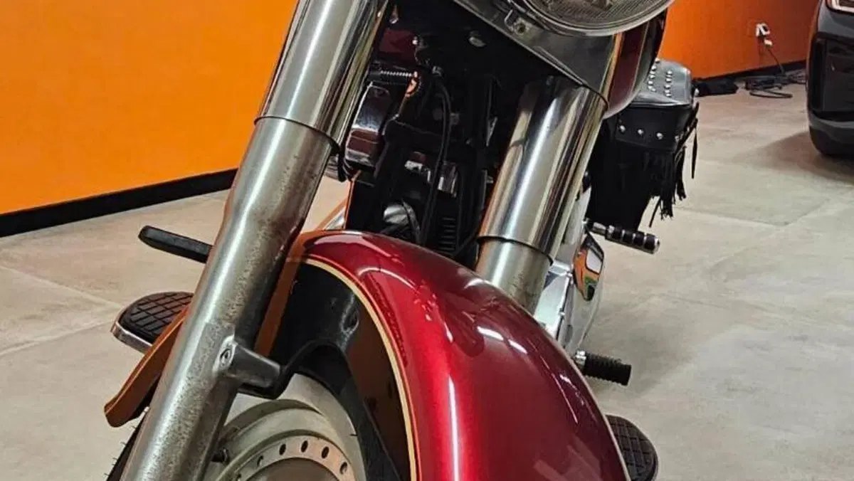Harley-Davidson   (7)