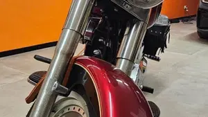 Harley-Davidson   (7)
