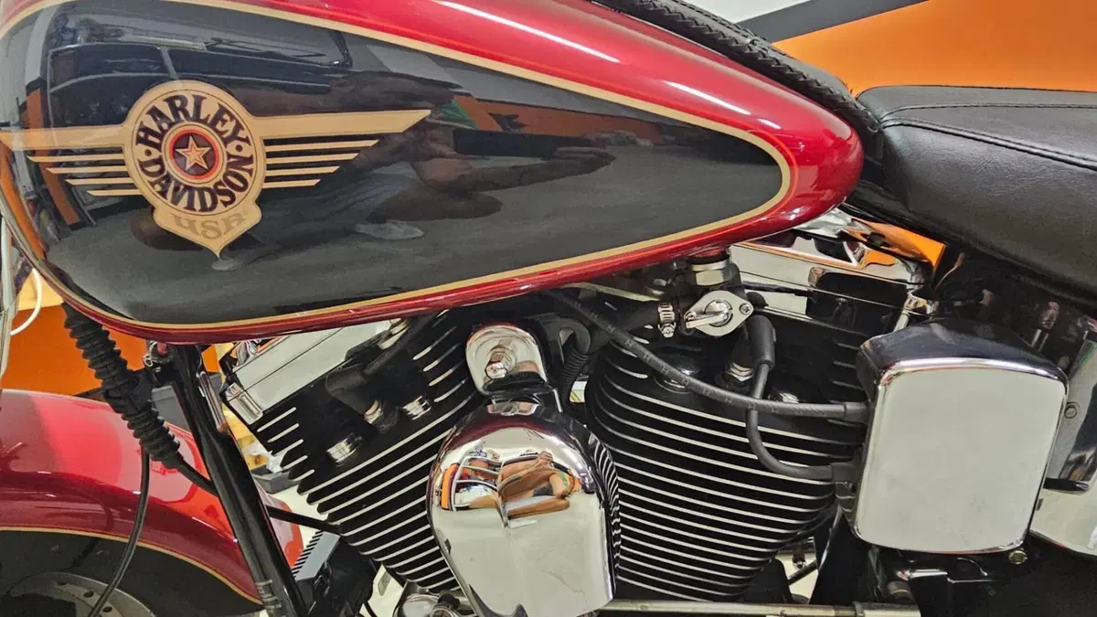 Harley-Davidson   (10)