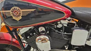 Harley-Davidson   (10)