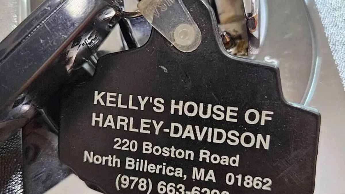Harley-Davidson   (13)