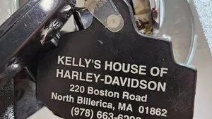 Harley-Davidson   (13)