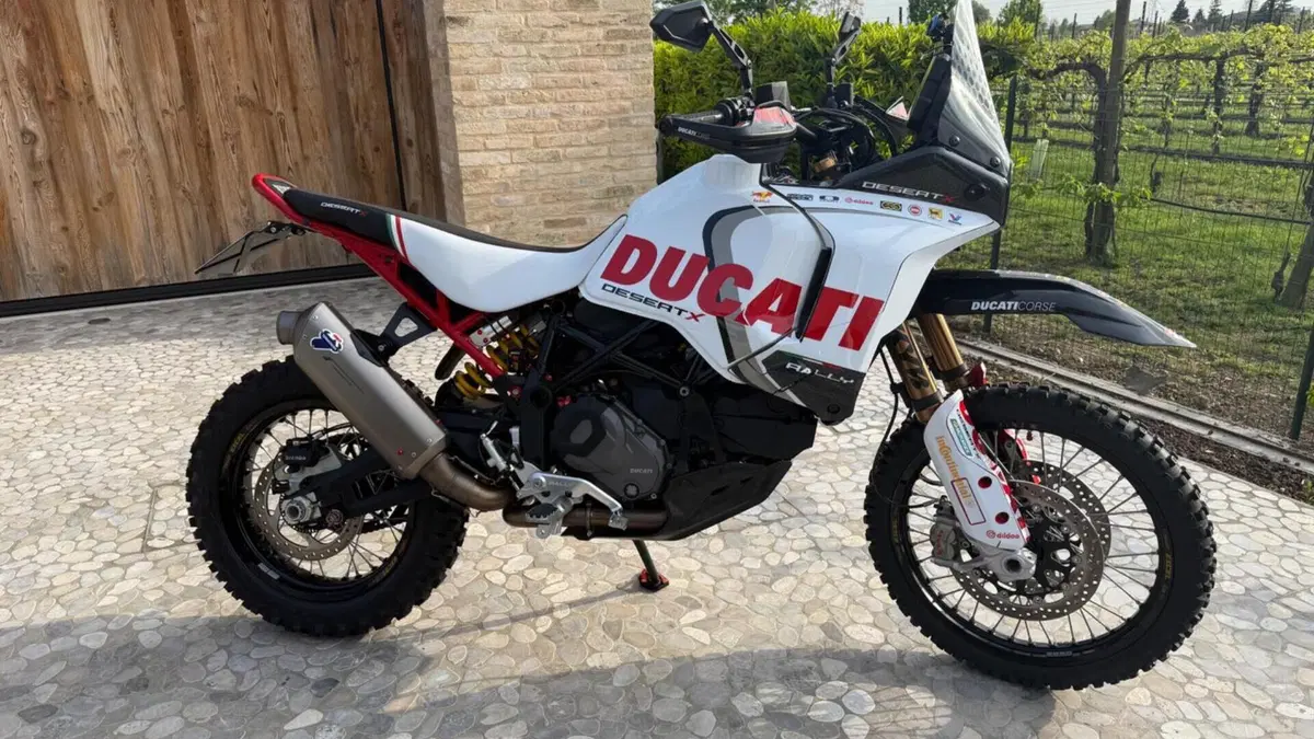 Ducati DesertX Rally (2024 - 25) 