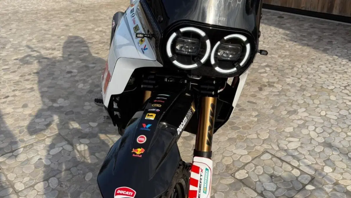 Ducati DesertX Rally (2024 - 25)  (4)