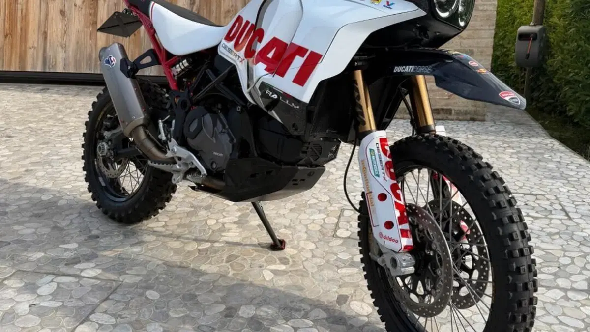 Ducati DesertX Rally (2024 - 25)  (3)