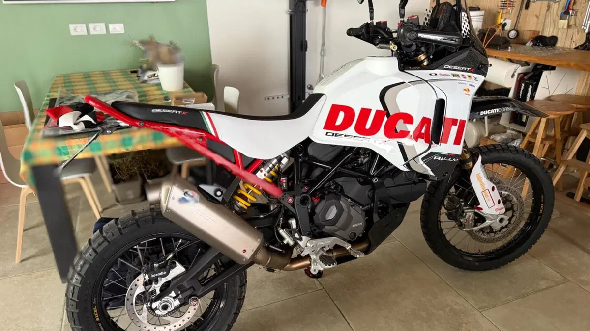 Ducati DesertX Rally (2024 - 25)  (5)