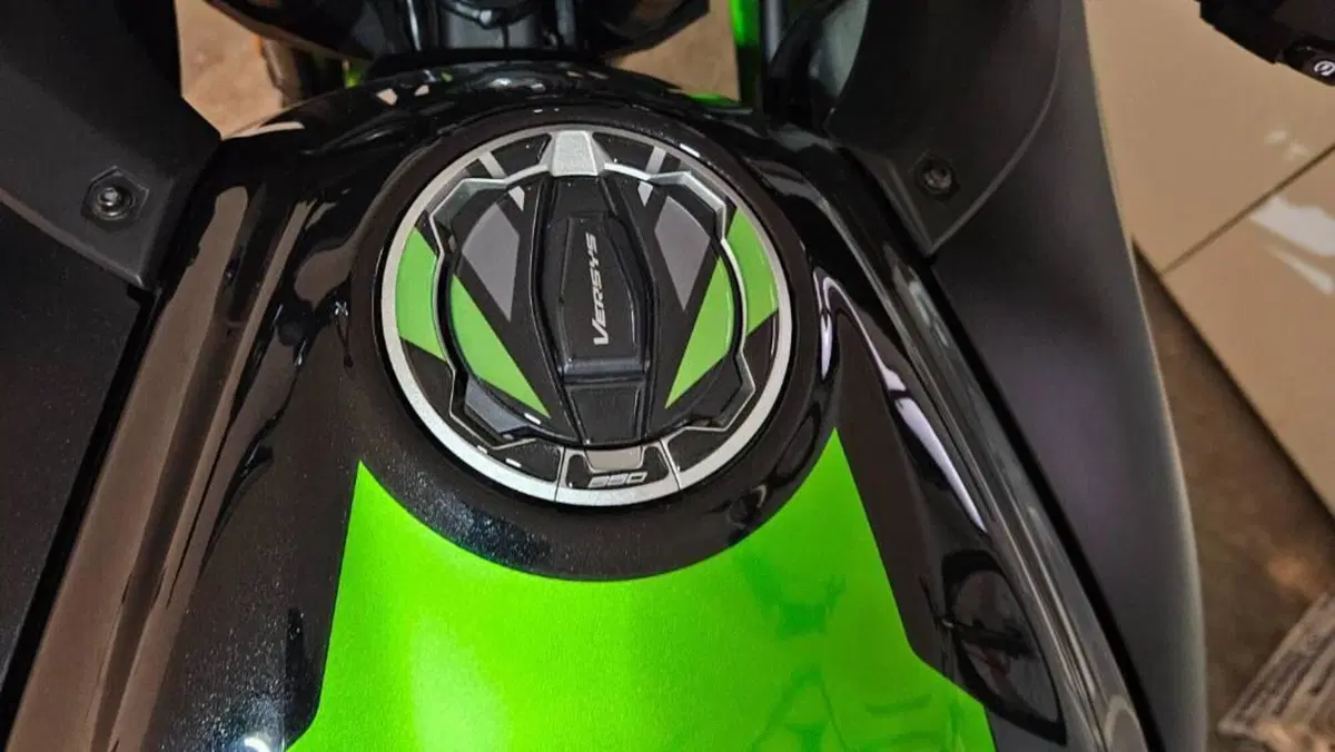 Kawasaki Versys 650 Urban (2022 - 24)  (9)