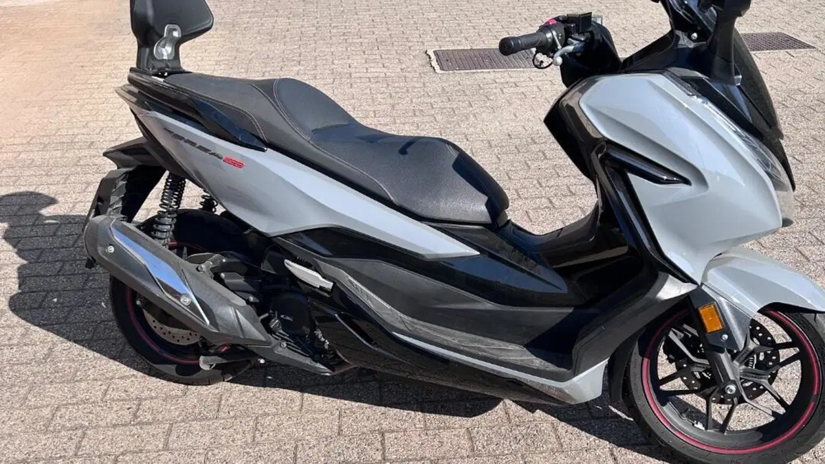 Honda Forza 300 Deluxe ABS (2018 - 20)  (6)