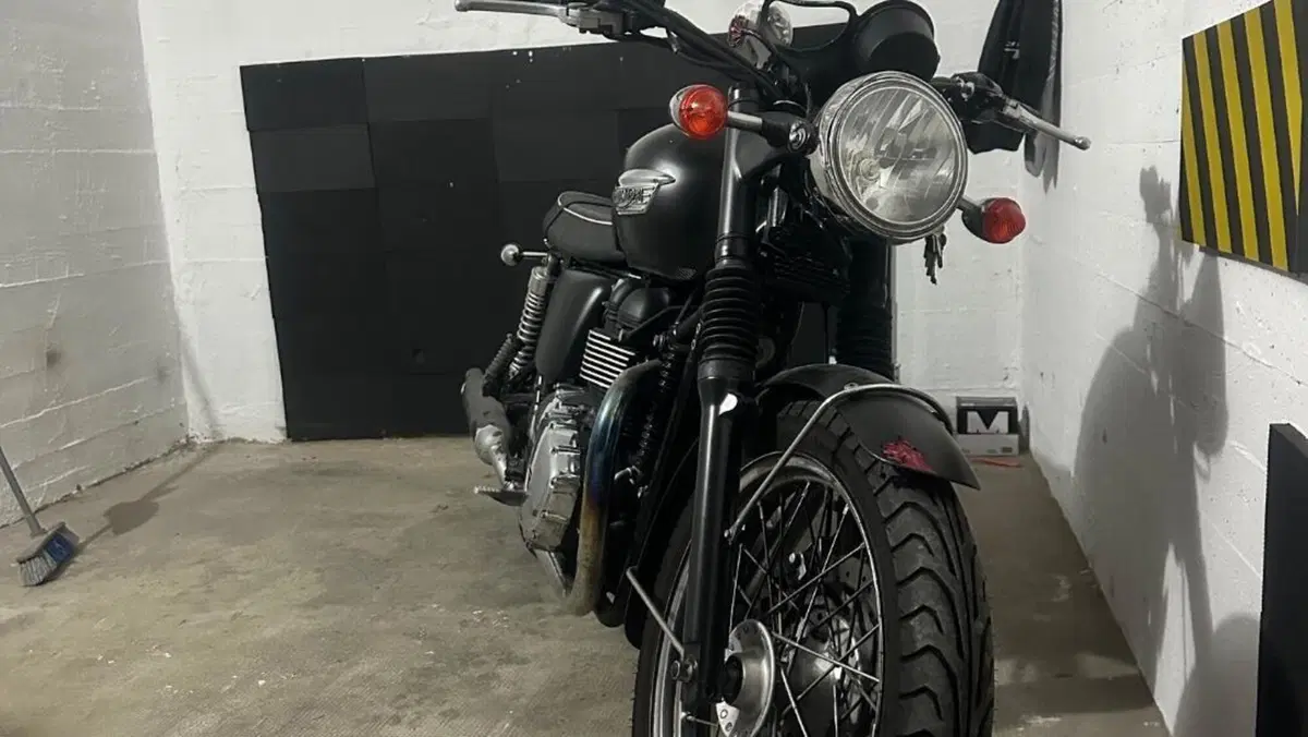 Triumph Bonneville T100 (2008 - 16)  (3)
