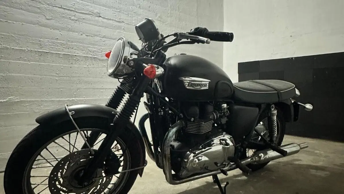 Triumph Bonneville T100 (2008 - 16)  (4)