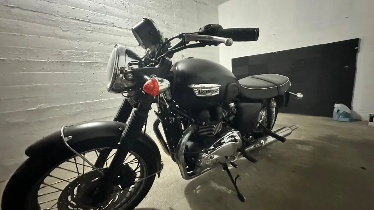 Triumph Bonneville T100 (2008 - 16)  (5)