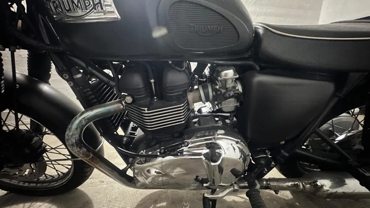 Triumph Bonneville T100 (2008 - 16)  (10)