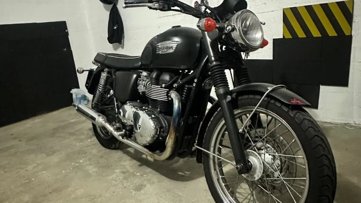 Triumph Bonneville T100 (2008 - 16)  (19)