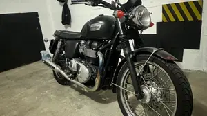 Triumph Bonneville T100 (2008 - 16)  (19)