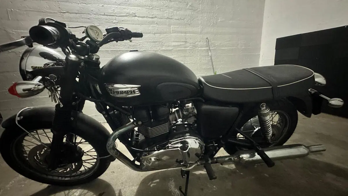 Triumph Bonneville T100 (2008 - 16)  (20)