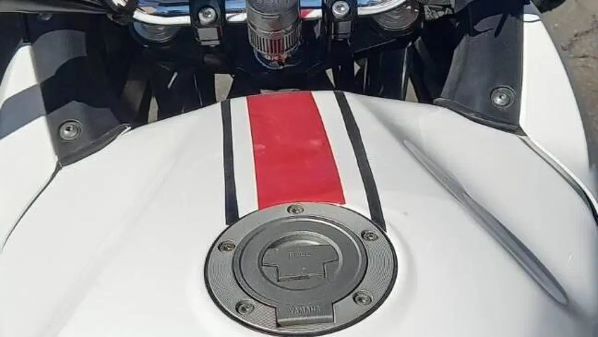 Yamaha TDM 900 (2002 - 14)  (4)