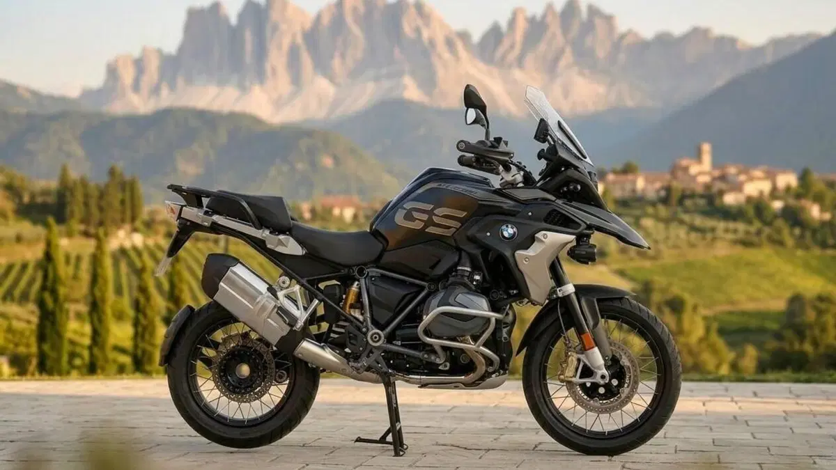 Bmw R 1250 GS (2019 - 20)  (2)