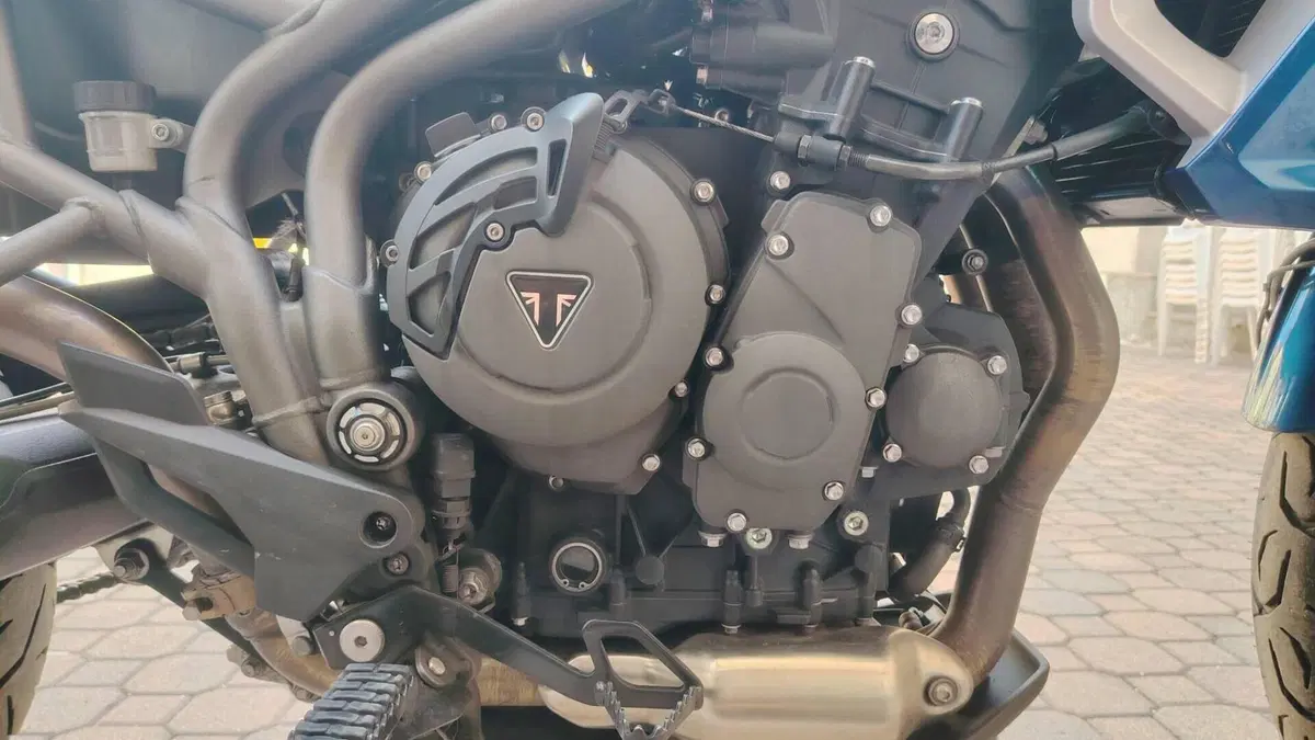 Triumph Tiger 800 XRx (2018 - 20)  (5)