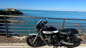 Suzuki GSX 750 (1998 - 03)  (8)