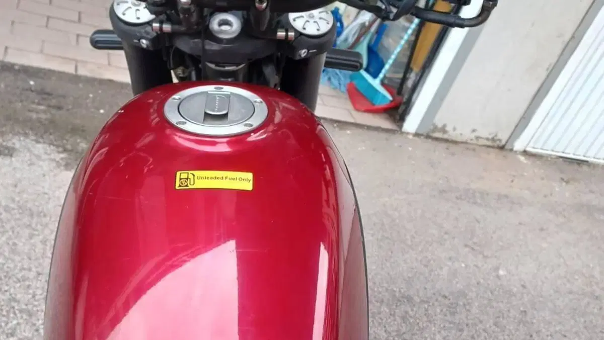 Benelli Leoncino 500 (2021 - 25)  (2)