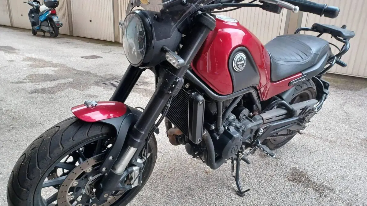 Benelli Leoncino 500 (2021 - 25)  (4)