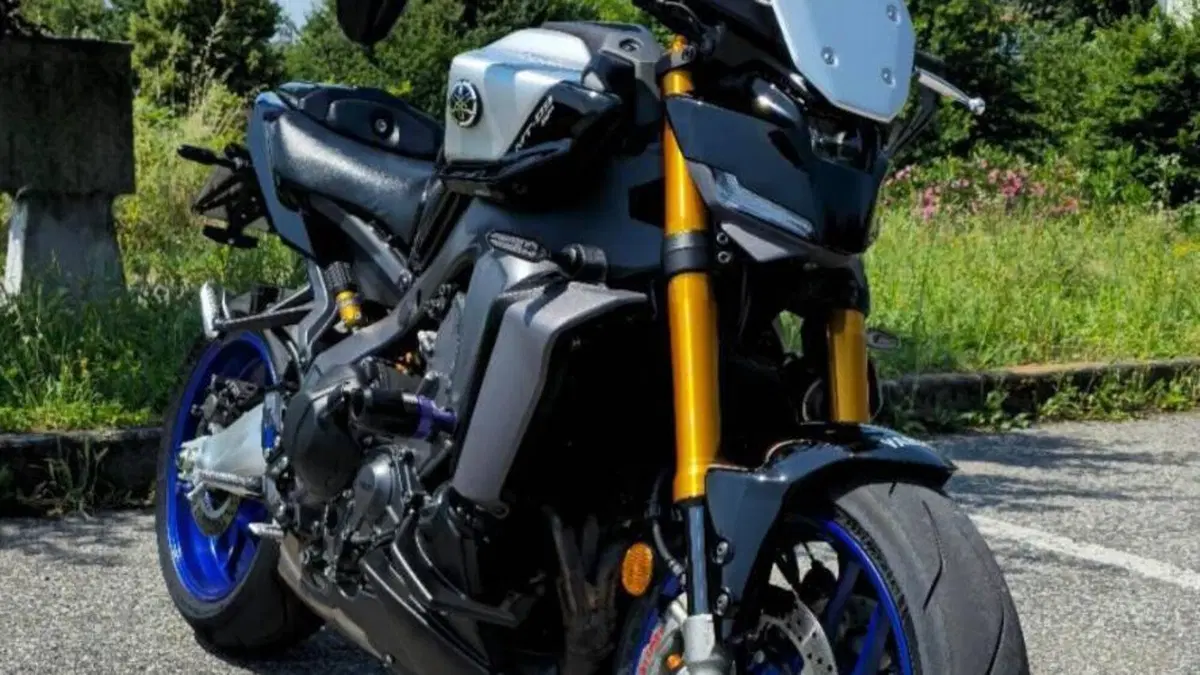 Yamaha MT-09 SP (2024 - 26) 