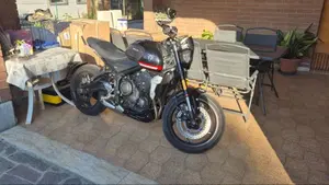 Triumph Trident 660 (2021 - 24)  (6)