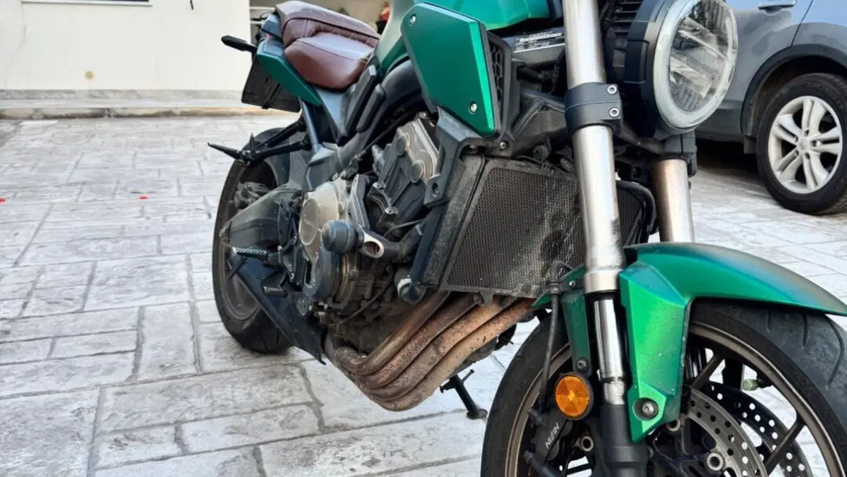 Honda CB 650 R (2019 - 20)  (3)