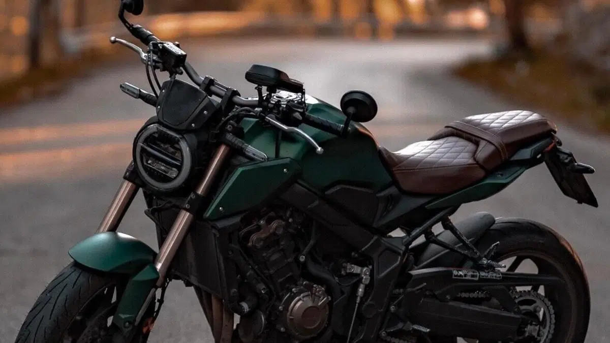 Honda CB 650 R (2019 - 20)  (7)