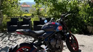 Triumph Trident 660 Triple Tribute Edition (2025 - 26)  (3)