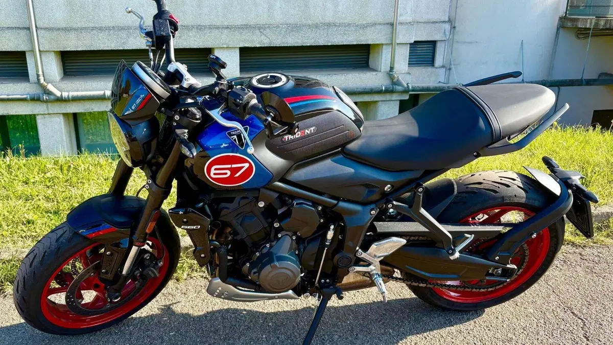 Triumph Trident 660 Triple Tribute Edition (2025 - 26)  (5)