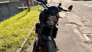 Triumph Trident 660 Triple Tribute Edition (2025 - 26)  (6)