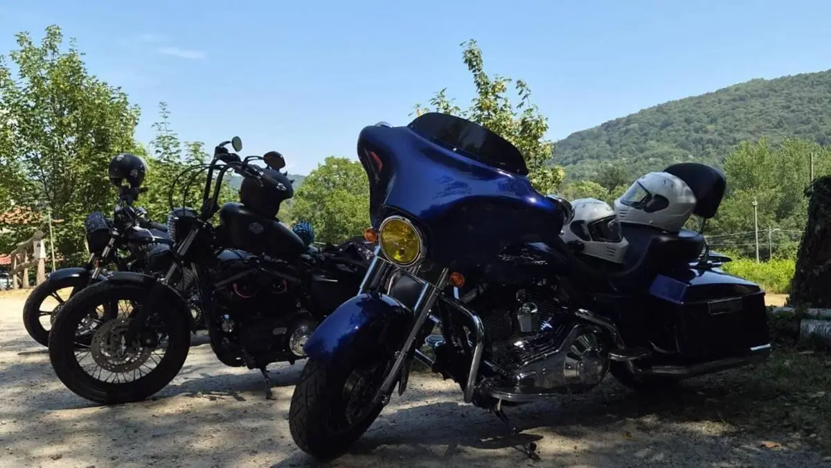 Harley-Davidson 1450 Street Glide (2006 - 07) - FLHX  (2)