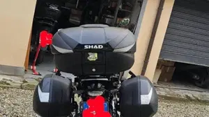 Bmw F 900 R (2021 - 24)  (11)