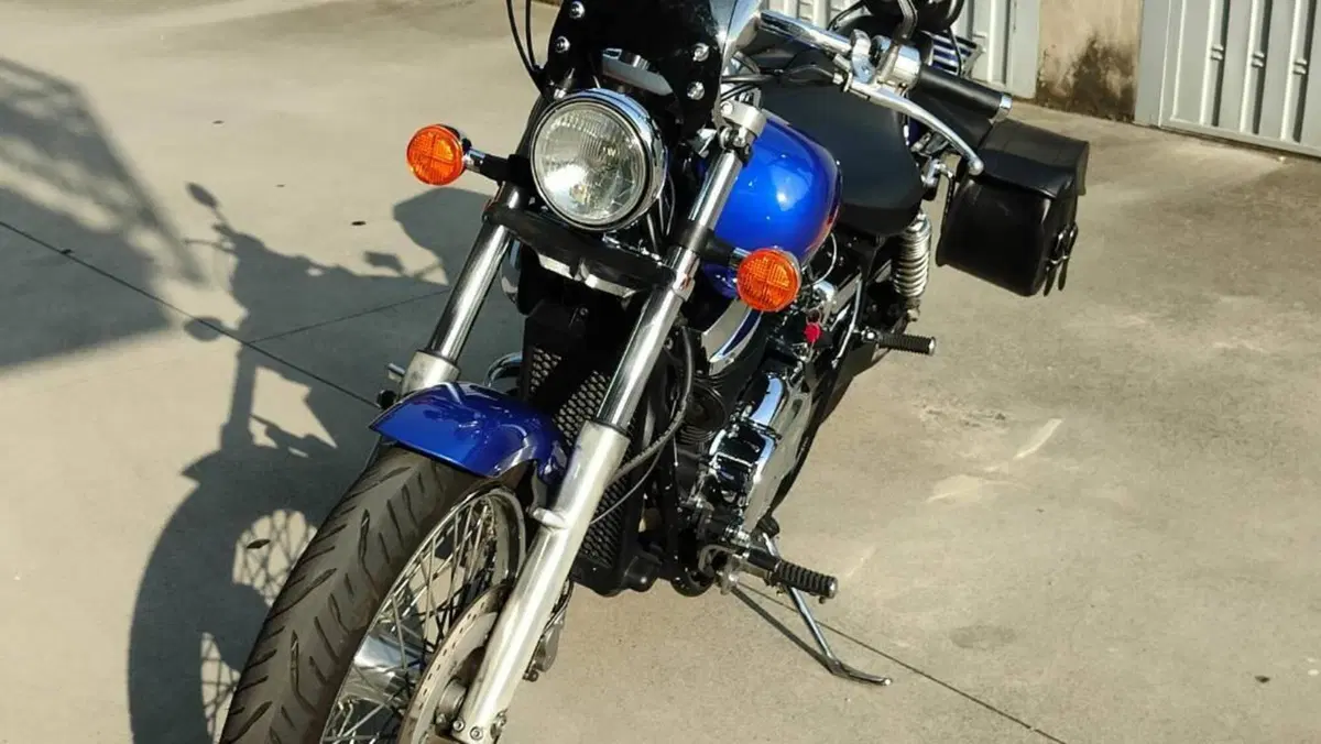 Honda Black Widow  (6)
