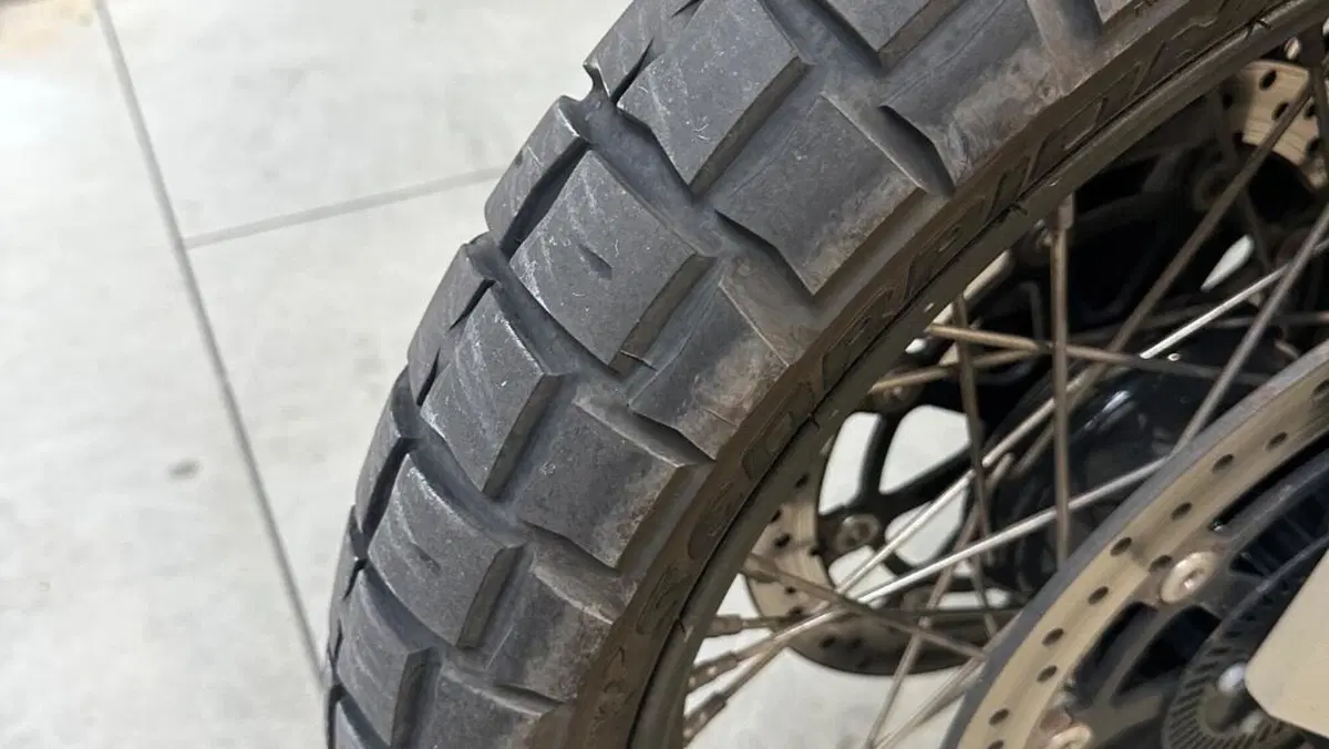 CFMOTO 800MT Limited Edition (2023 - 25)  (6)