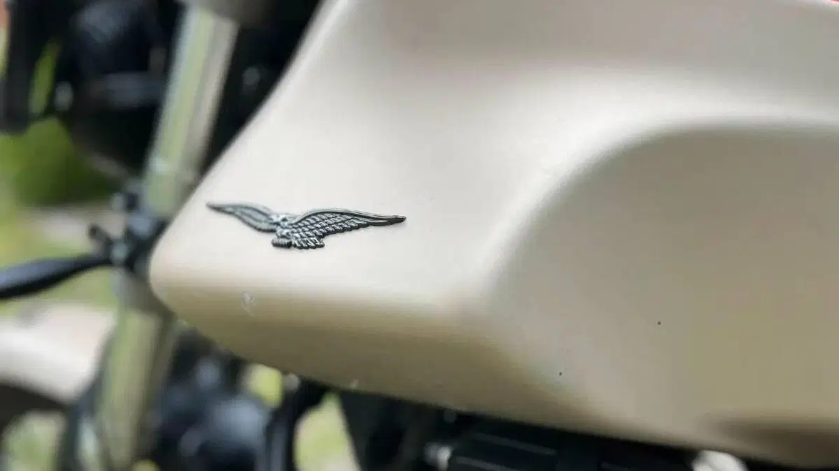 Moto Guzzi V85 TT Travel (2021 - 23)  (5)