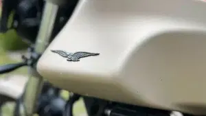 Moto Guzzi V85 TT Travel (2021 - 23)  (5)