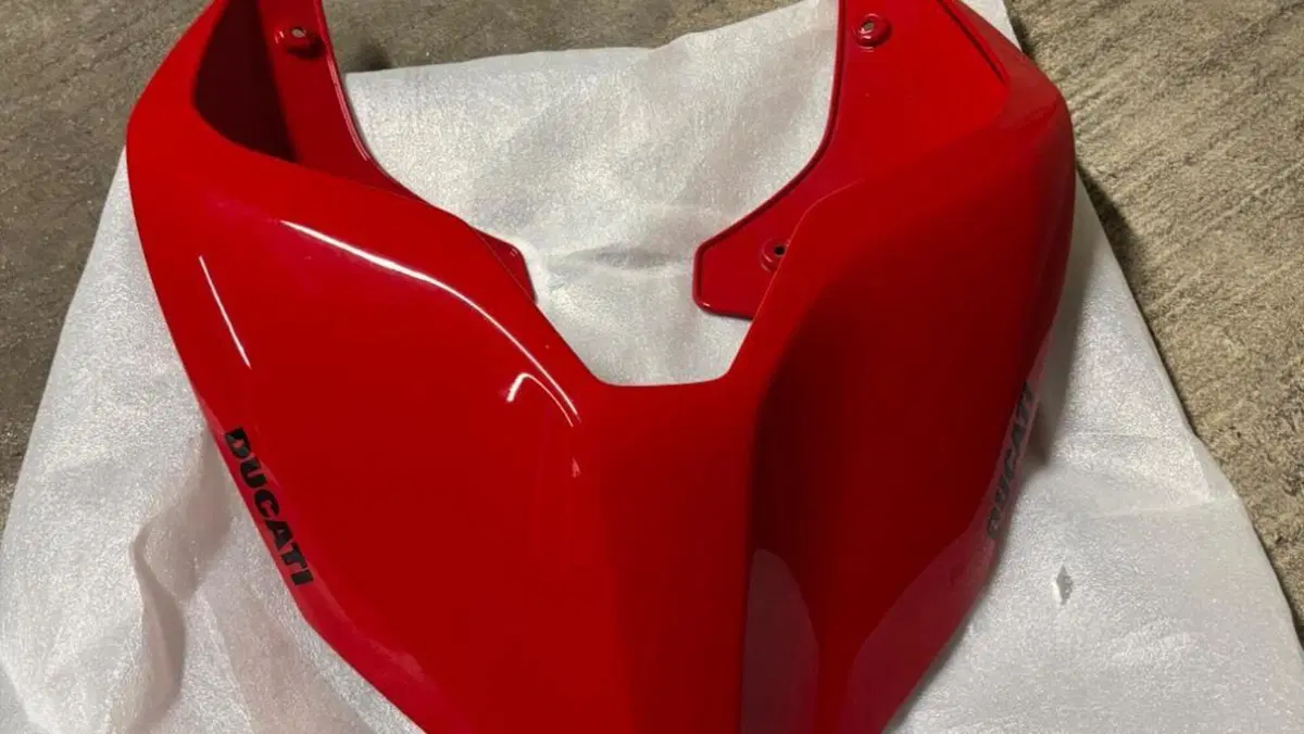 Ducati Streetfighter V4 (2023 - 24)  (9)